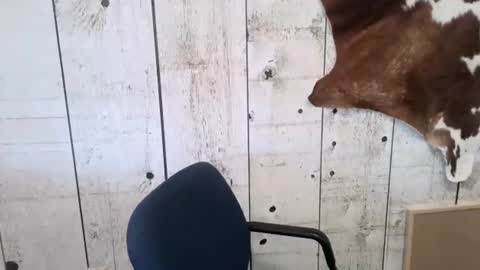 kinkynerd online show from 11.01.25