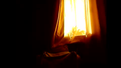 Opree online show from 01.31.26