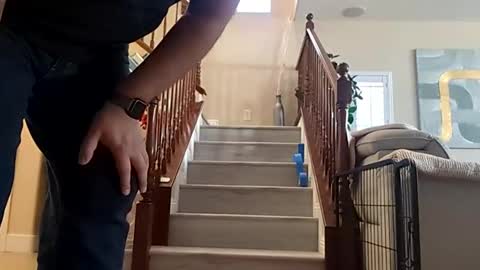 or2jrz online show from 03.15.26