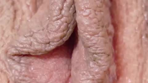 orchidekitty online show from 02.01.26