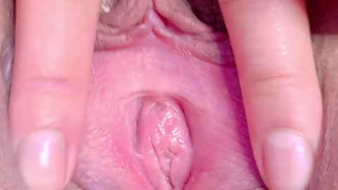 orchidekitty online show from 05.16.26