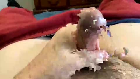 Snapshot of oreoworld chatting on 12.30.24 Super Soaker Oreo World online show from 12.30.24