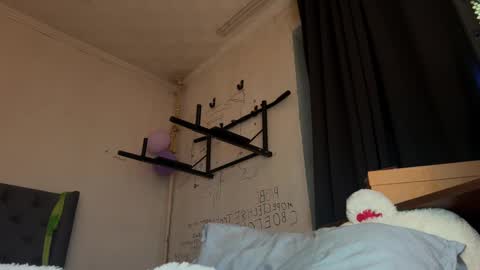 origamicat online show from 01.15.26