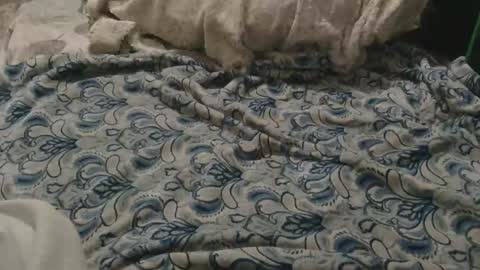 originalcali95 online show from 02.02.26