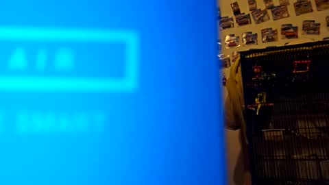 Snapshot of orlandovilla48 chatting on 11.18.25 orlandovilla48 online show from 11.18.25