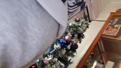 Snapshot of orlandovilla48 chatting on 12.05.25 orlandovilla48 online show from 12.05.25