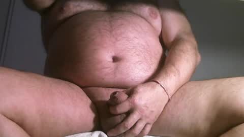 Oso Licencioso online show from 04.07.26