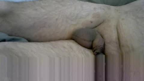 ovid771 online show from 10.28.25