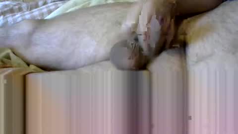 ovid771 online show from 11.13.25