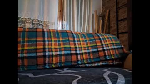 p326032 online show from 11.06.25