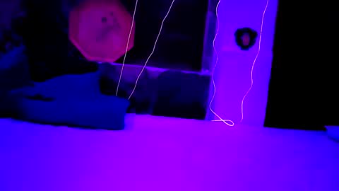 pablouyu online show from 12.22.24