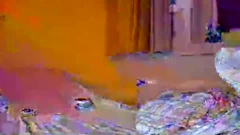 Pachoxx9 online show from 02.01.25