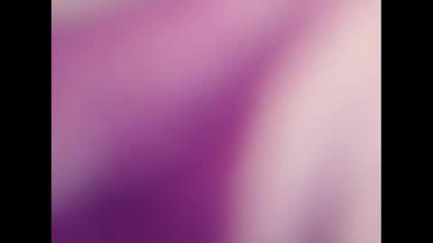   PALA online show from 03.03.25