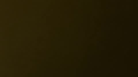 Snapshot of palerider269 chatting on 11.19.25 palerider269 online show from 11.19.25