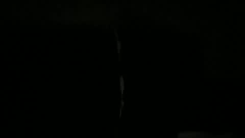 palley1120100250 online show from 12.17.25