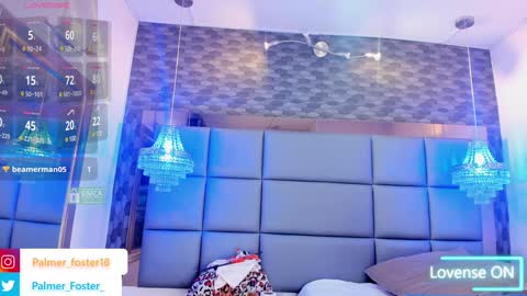 Palmer  online show from 01.15.25