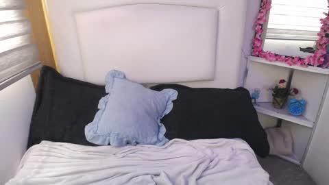 Snapshot of palmer_mix chatting on 12.28.24 Palmer online show from 12.28.24