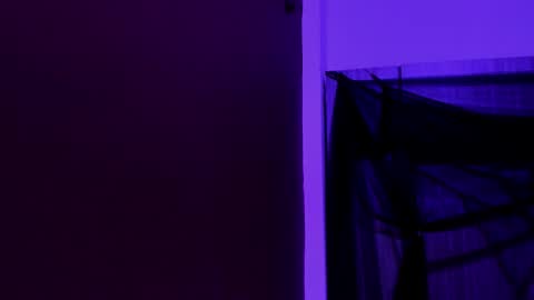  P A M  online show from 11.23.25