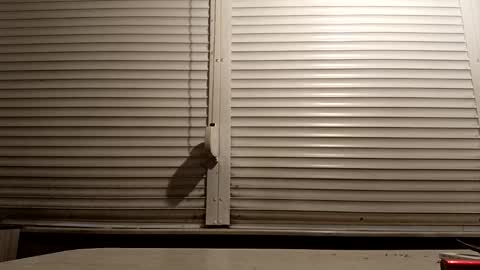 angel hris online show from 01.14.26