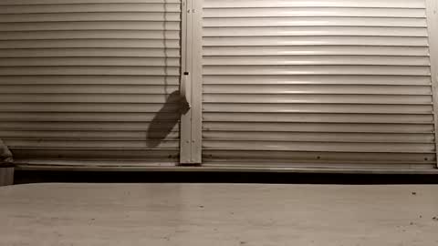 angel hris online show from 02.25.26