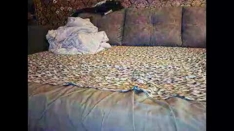 Pancamo online show from 01.18.26