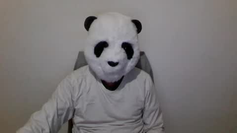Panda online show from 12.06.24