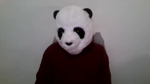 Panda online show from 01.23.25