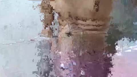 pankubig online show from 09.29.25