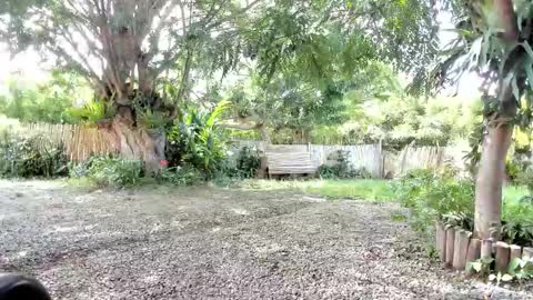 Snapshot of paoguerrax354 chatting on 10.19.25 paoguerrax354 online show from 10.19.25