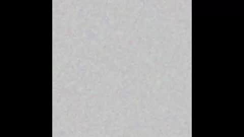 Paola Williams online show from 01.22.25