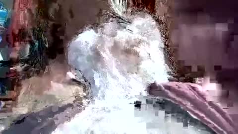 papajb70 online show from 01.20.25