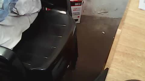 pareja201722 online show from 12.14.24