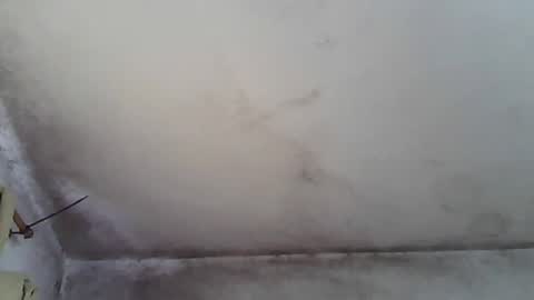 pareja201722 online show from 12.31.24