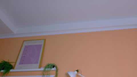 PARIS online show from 02.21.26