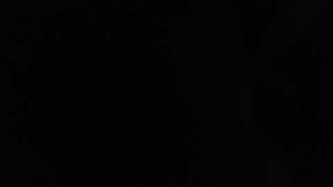 parrotpenis1 online show from 12.17.24