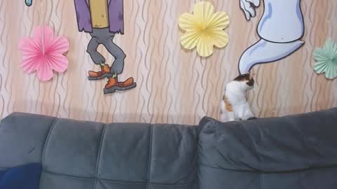 Snapshot of passionate_lora_ chatting on 10.11.25 I am Lora and i am glad to see you in my room online show from 10.11.25