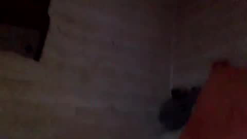 Pati24 online show from 02.26.26