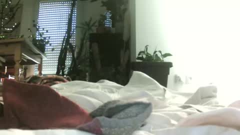 patrora online show from 11.30.25