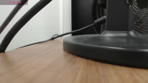 Snapshot of paul_ponce chatting on 11.19.25 PAUL online show from 11.19.25