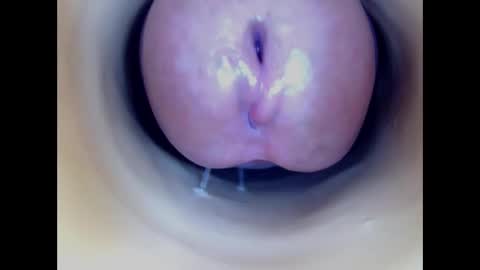 Paula 18 Aninhos online show from 01.08.26