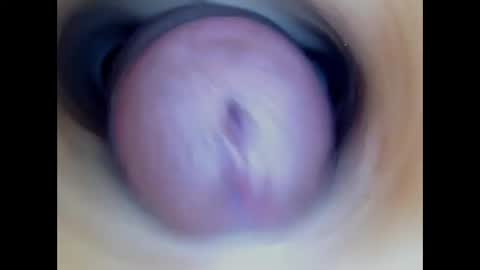 Paula 18 Aninhos online show from 01.11.26