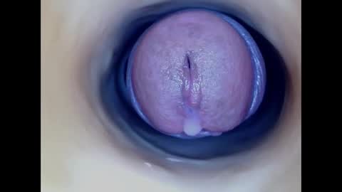 Paula 18 Aninhos online show from 01.12.26