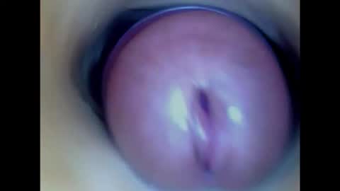 Paula 18 Aninhos online show from 02.03.26