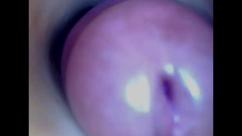 Paula 18 Aninhos online show from 02.27.26