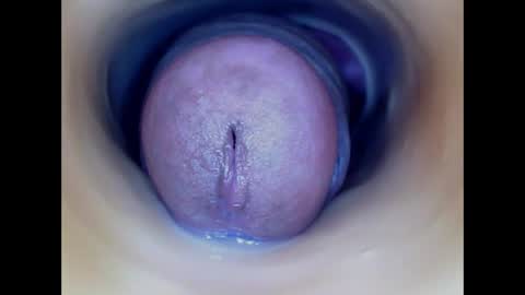 Paula 18 Aninhos online show from 03.24.26