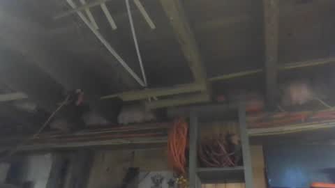 Snapshot of paulstetson chatting on 12.26.24 paulstetson online show from 12.26.24