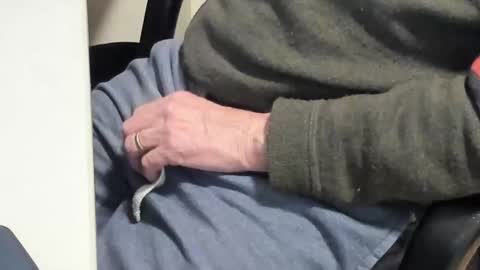 Paul online show from 02.10.25