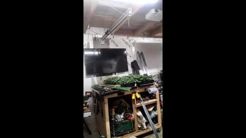 pawelniceguy online show from 01.19.26