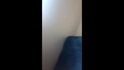 Paw online show from 12.21.24