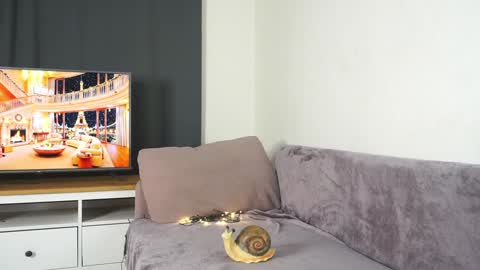 Violetta online show from 12.29.24